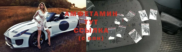 ГАЛЛЮЦИНОГЕННЫЕ ГРИБЫ Алзамай