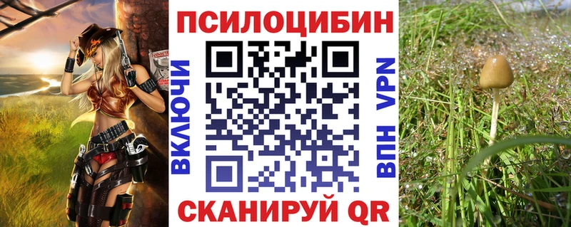 Псилоцибиновые грибы Magic Shrooms  кракен tor  Арамиль  даркнет сайт 
